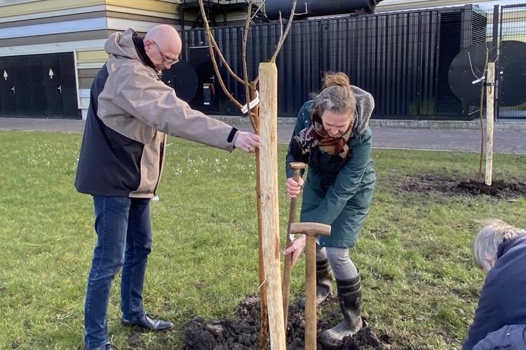 Bomen van oude appelrassen geplant op ziekenhuisterrein 