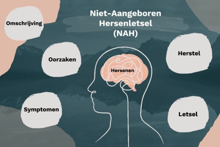 Lezing 'Niet-aangeboren hersenletsel en de niet-zichtbare gevolgen daarvan'