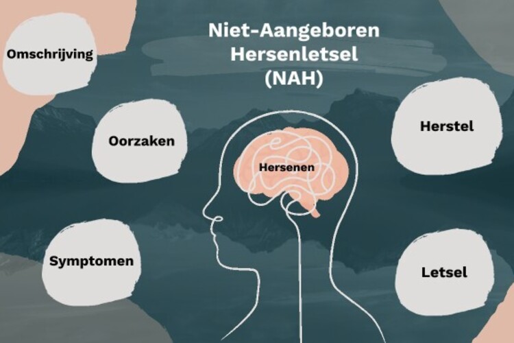 Lezing Niet-aangeboren hersenletsel is VOL