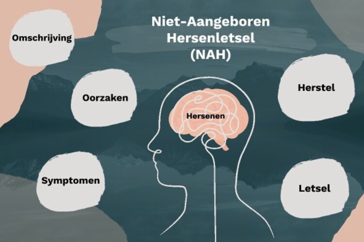 Lezing Niet-aangeboren hersenletsel is VOL