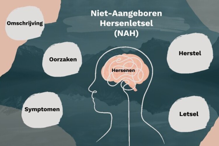 Lezing: Niet aangeboren hersenletsel en de impact door de vaak onzichtbare gevolgen