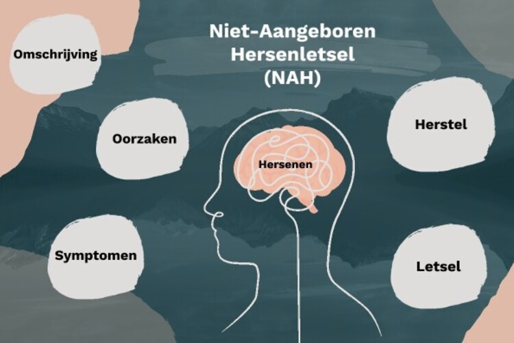 Lezing: Niet aangeboren hersenletsel en de impact door de vaak onzichtbare gevolgen